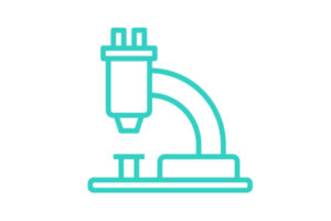 Efecto modulador de un extracto proteico de soja en un modelo celular de infeccion por Helicobacter pylori