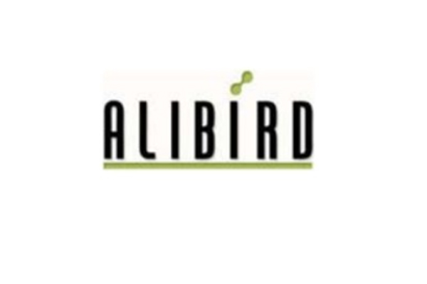 Programa de actividades en tecnologias alibird cm s2013 abi 2728
